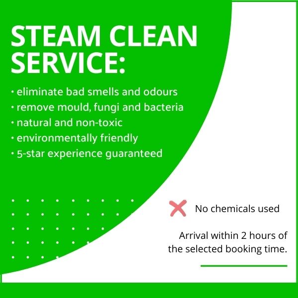 London Steam Cleaning Services for Washing Machines